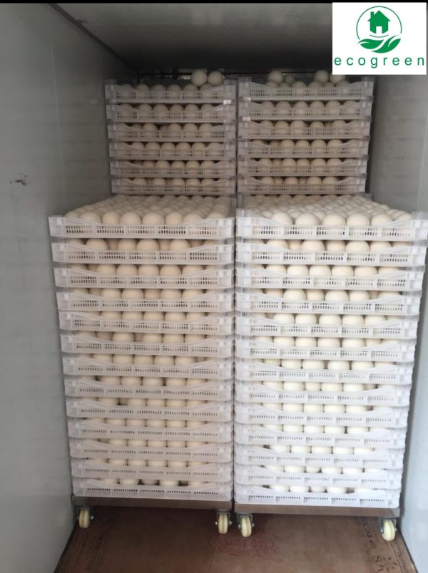 Nepal Eco Green WhatsApp Image 2023 03 19 at 1.34.09 PM