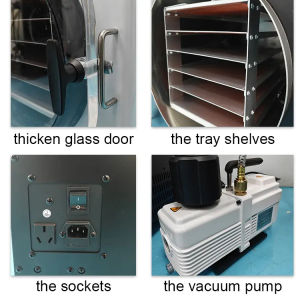 Ecogreen Freeze Dryer DFD-10